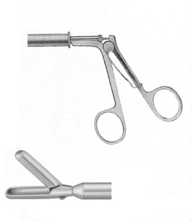 LARGE BİYOPSİ FORSEPS ÇAP  10 MM